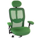 Fotel ergonomiczny CorpoComfort BX-4147 Zielony